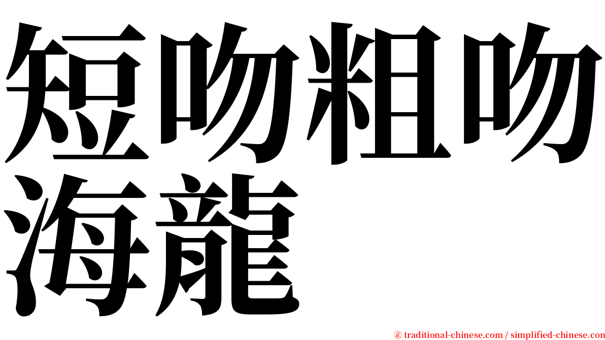 短吻粗吻海龍 serif font