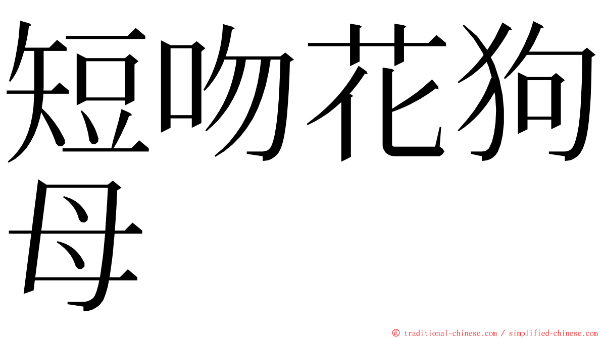 短吻花狗母 ming font