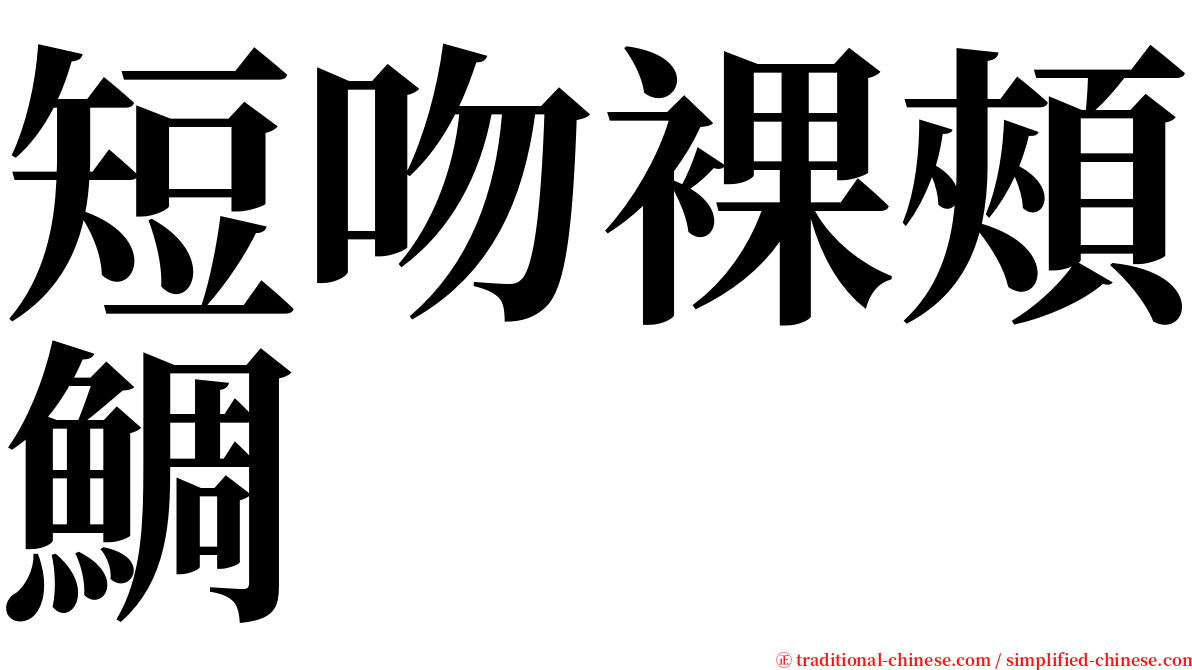 短吻裸頰鯛 serif font