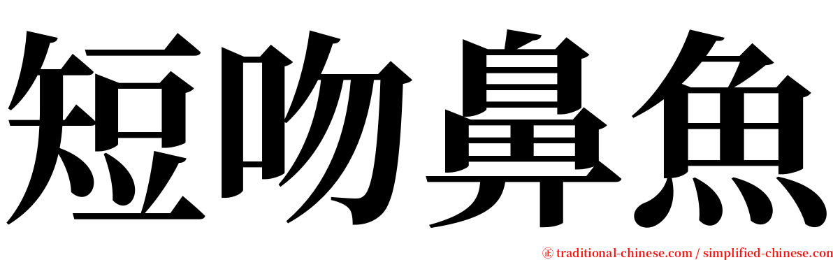 短吻鼻魚 serif font