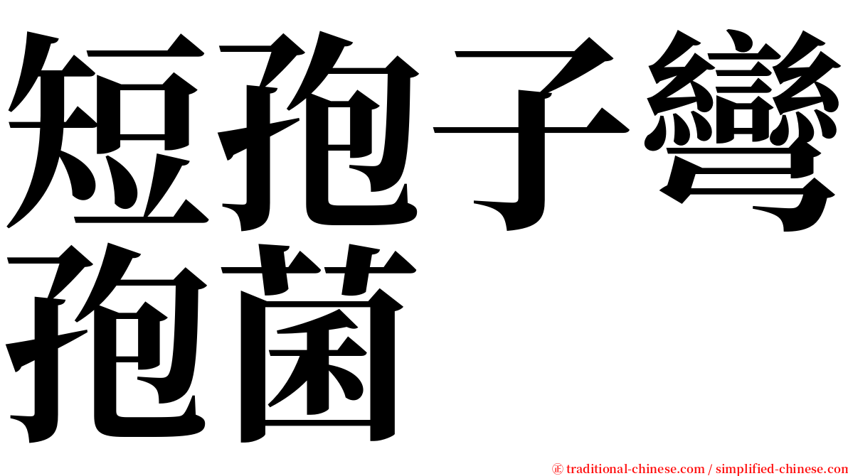 短孢子彎孢菌 serif font