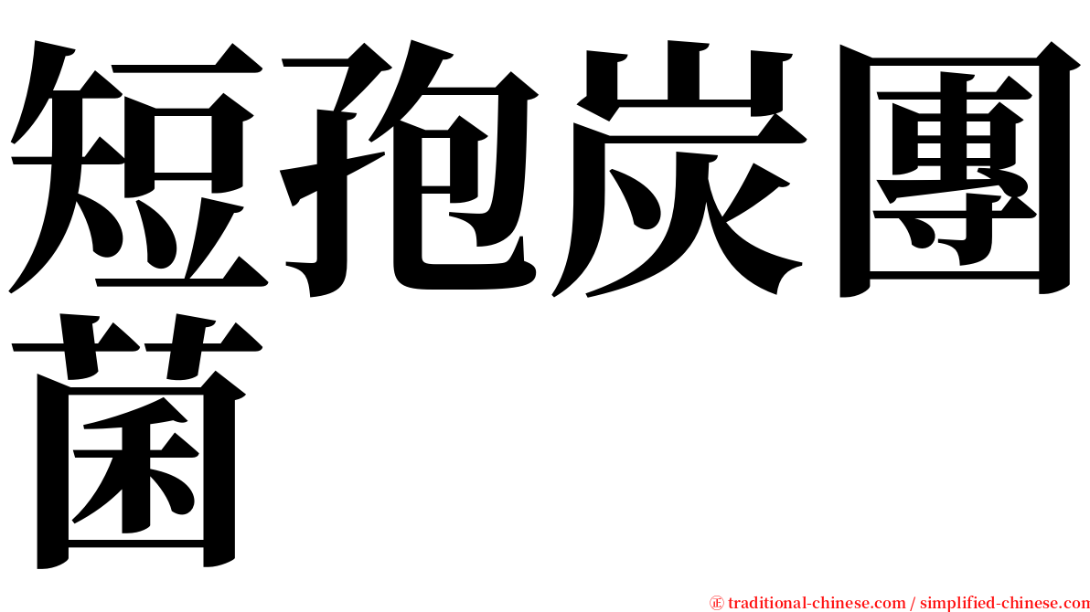 短孢炭團菌 serif font