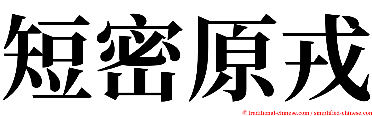 短密原戎 serif font