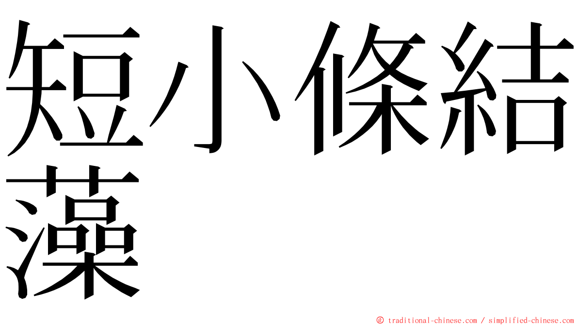 短小條結藻 ming font