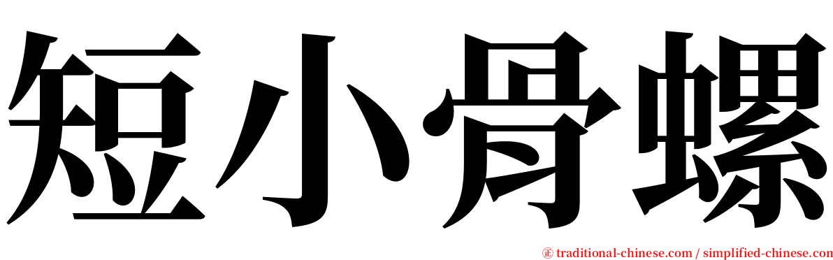 短小骨螺 serif font