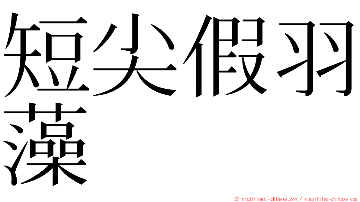 短尖假羽藻 ming font