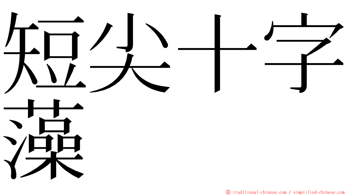 短尖十字藻 ming font