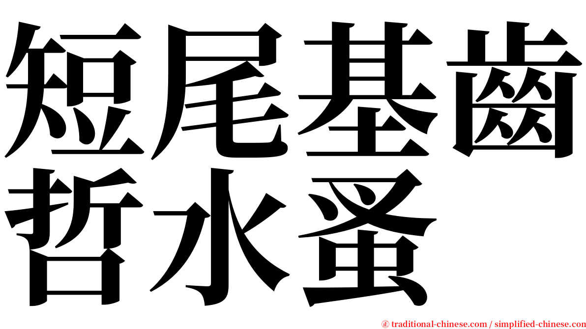 短尾基齒哲水蚤 serif font