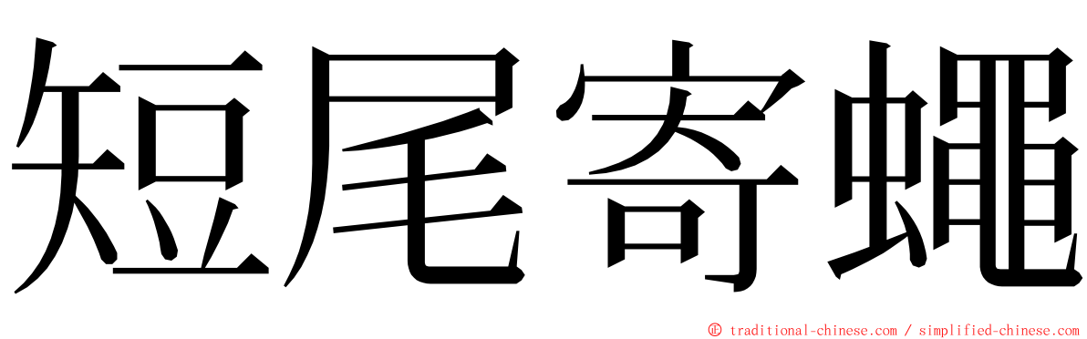 短尾寄蠅 ming font