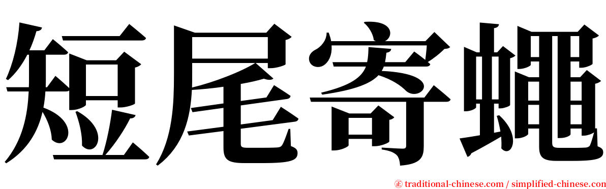 短尾寄蠅 serif font