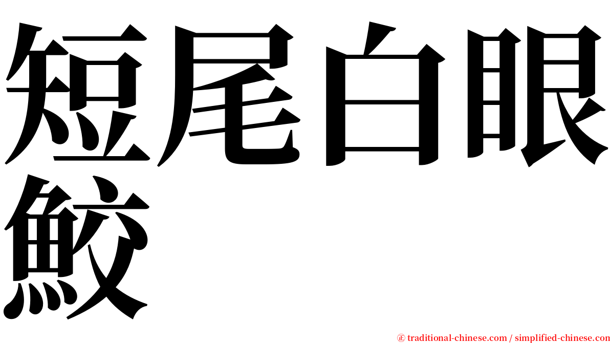 短尾白眼鮫 serif font