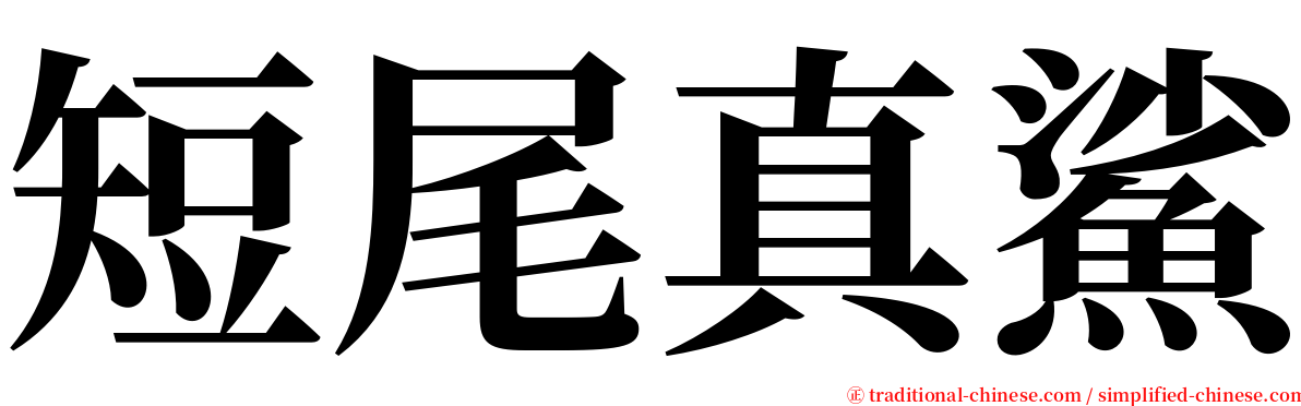 短尾真鯊 serif font