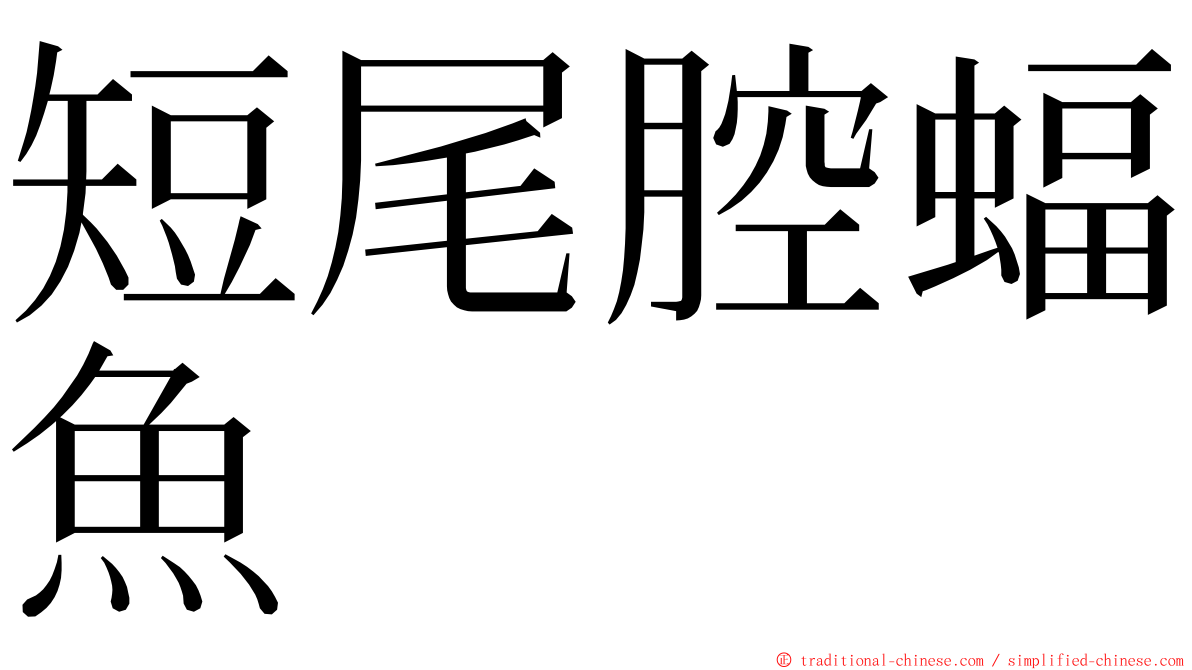 短尾腔蝠魚 ming font