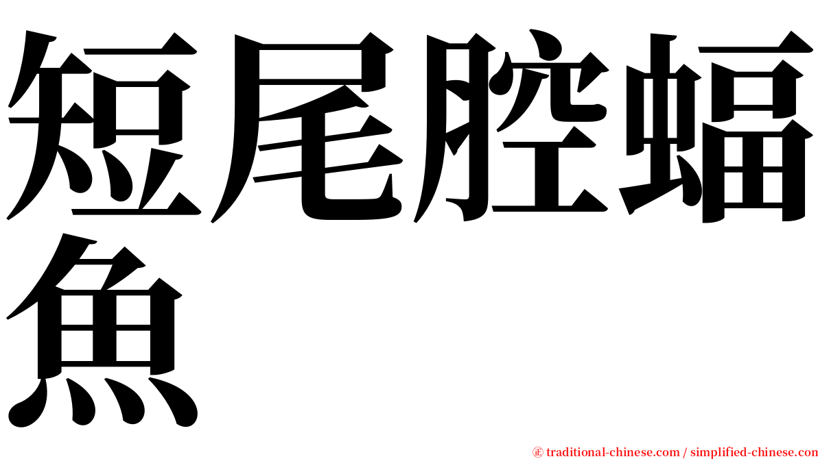 短尾腔蝠魚 serif font