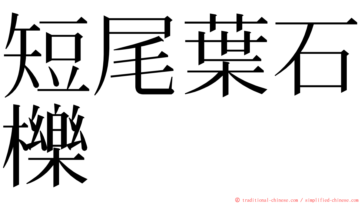 短尾葉石櫟 ming font