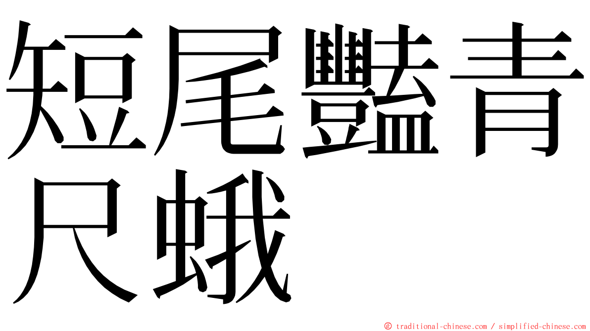 短尾豔青尺蛾 ming font