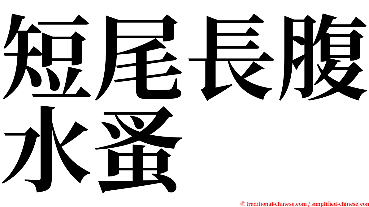 短尾長腹水蚤 serif font