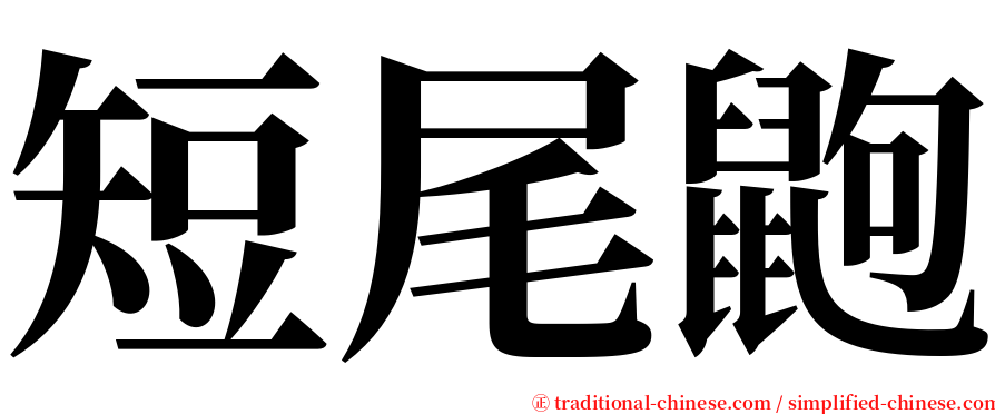 短尾鼩 serif font