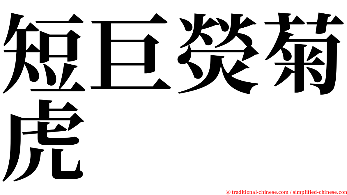 短巨熒菊虎 serif font