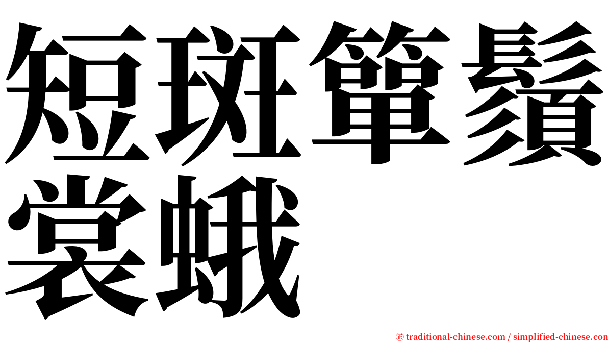 短斑簞鬚裳蛾 serif font