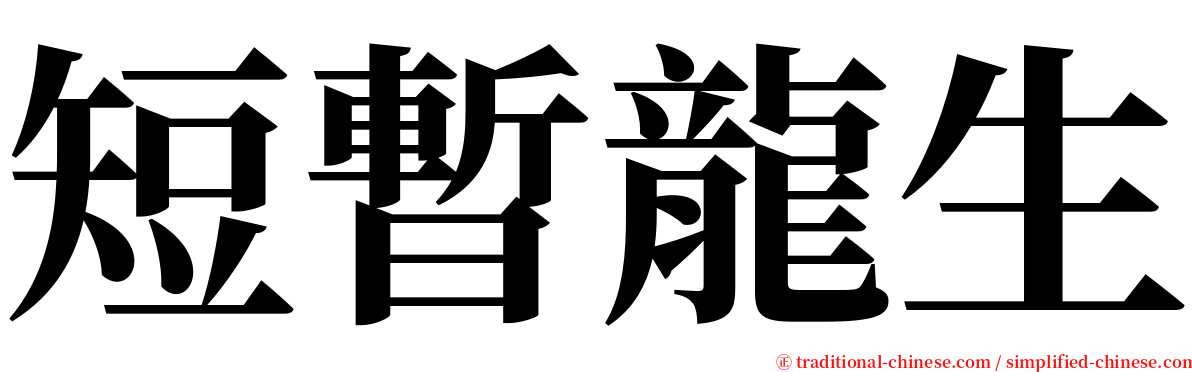 短暫龍生 serif font