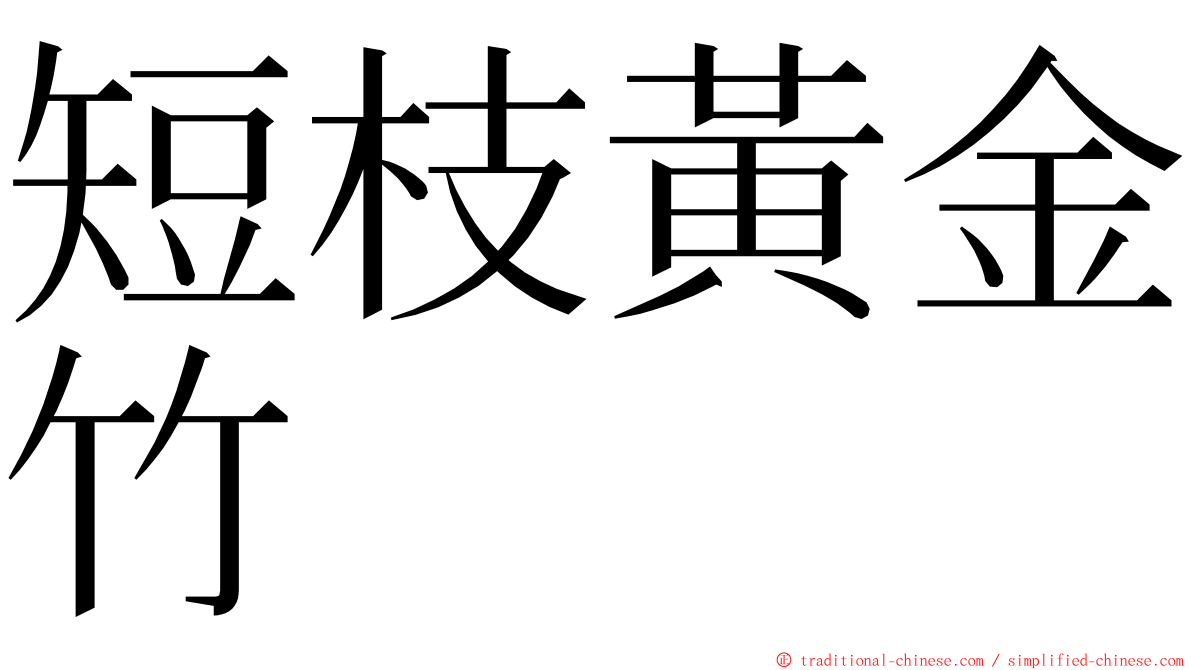 短枝黃金竹 ming font