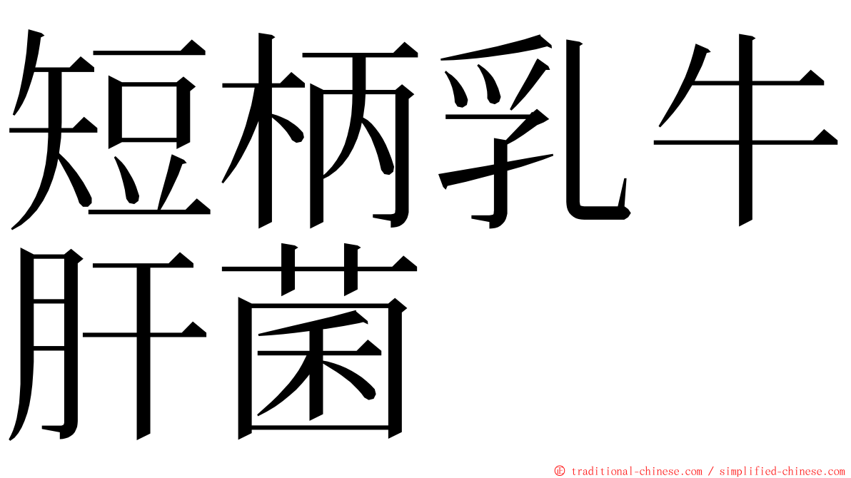 短柄乳牛肝菌 ming font