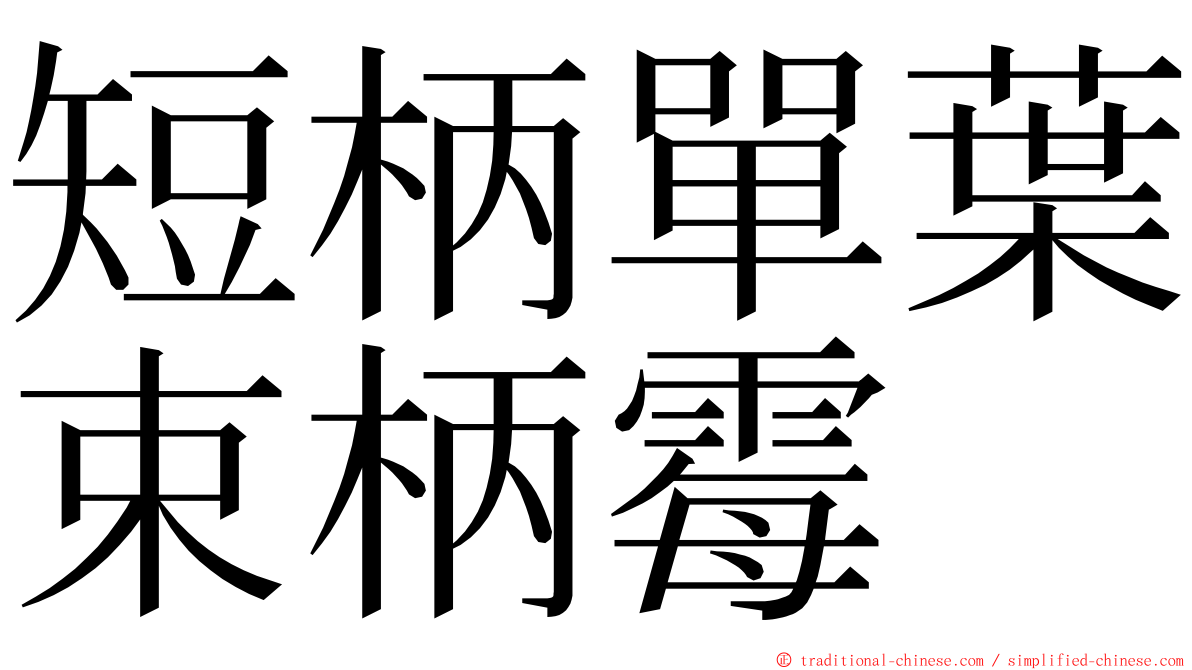 短柄單葉束柄霉 ming font