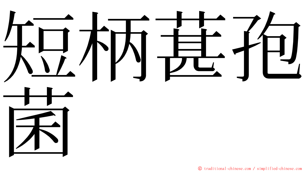 短柄葚孢菌 ming font