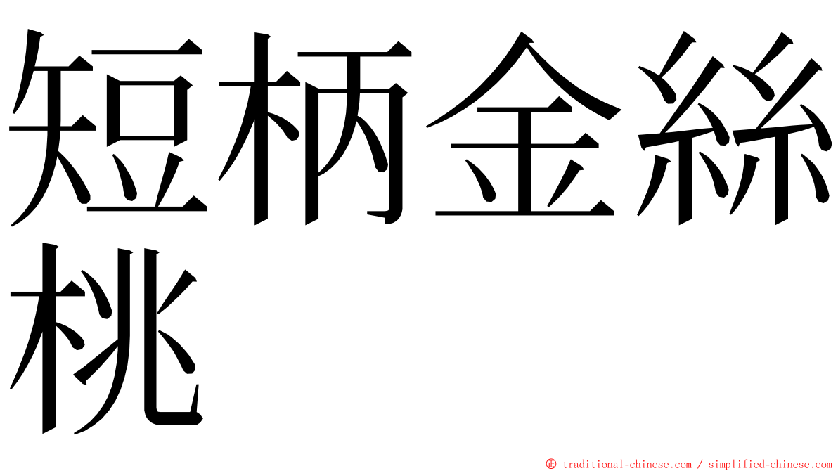 短柄金絲桃 ming font