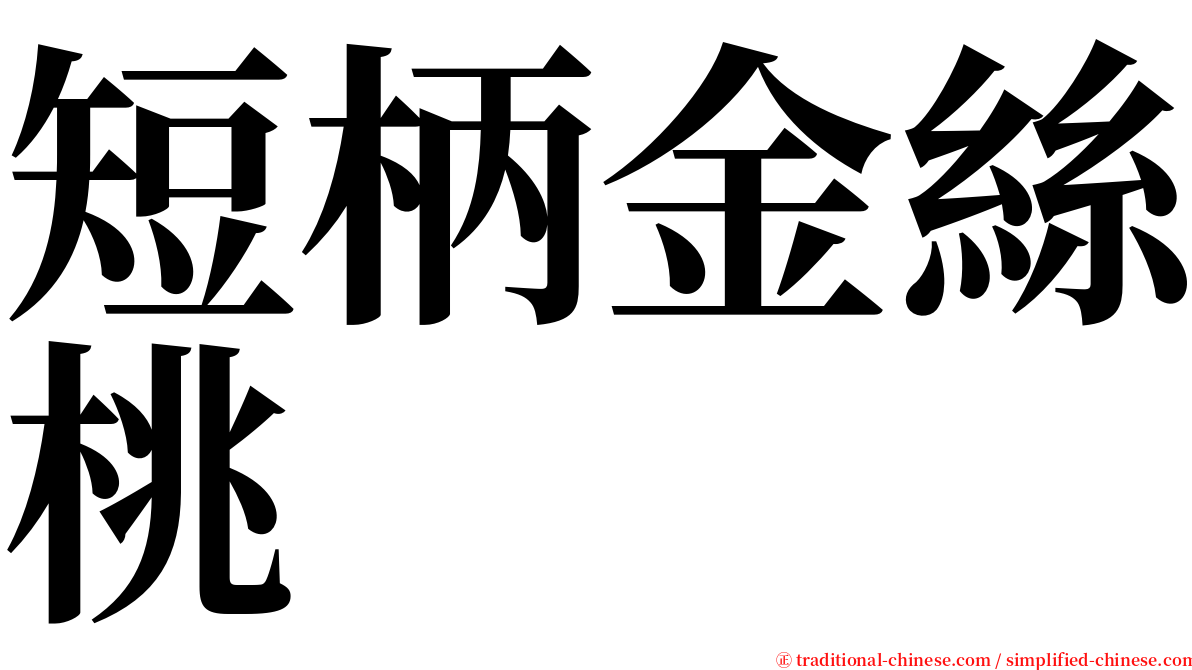 短柄金絲桃 serif font