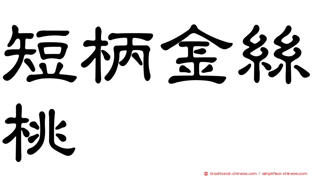 短柄金絲桃