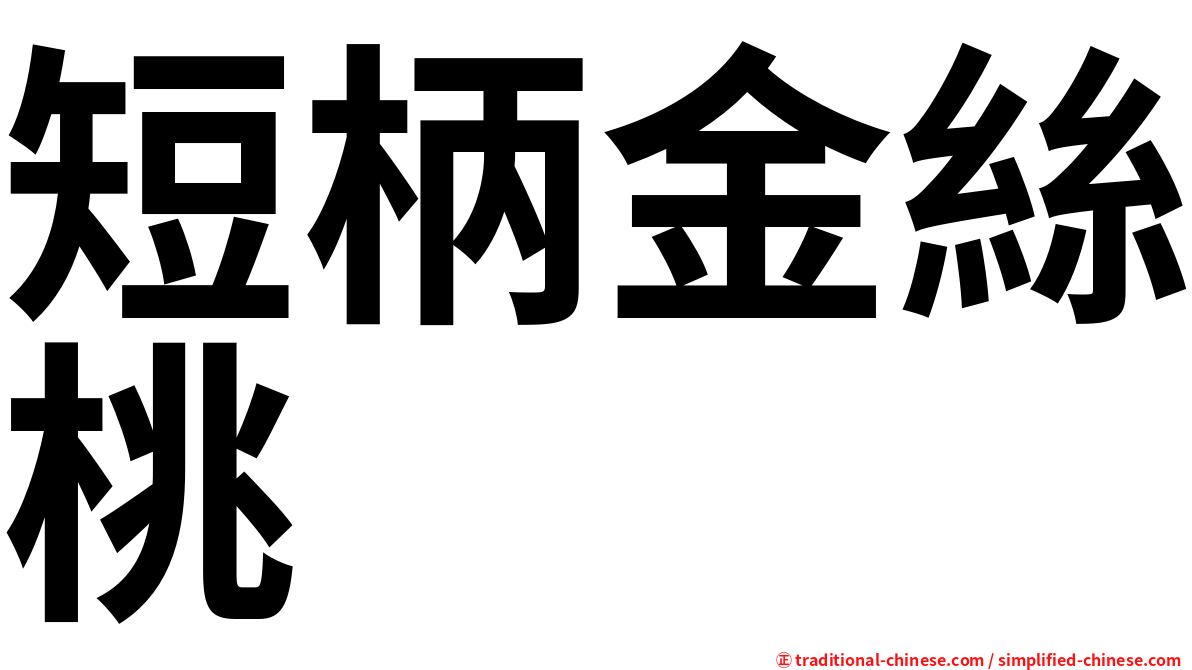 短柄金絲桃