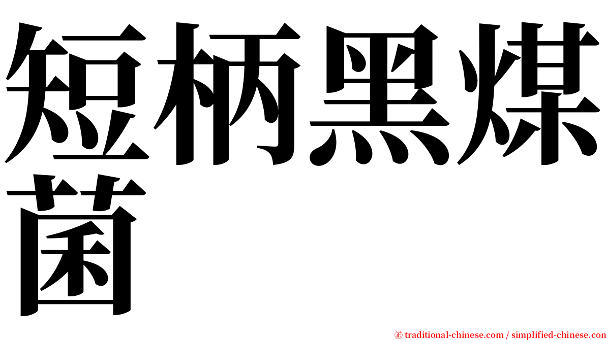 短柄黑煤菌 serif font