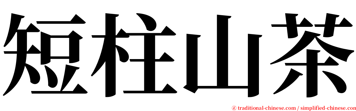 短柱山茶 serif font