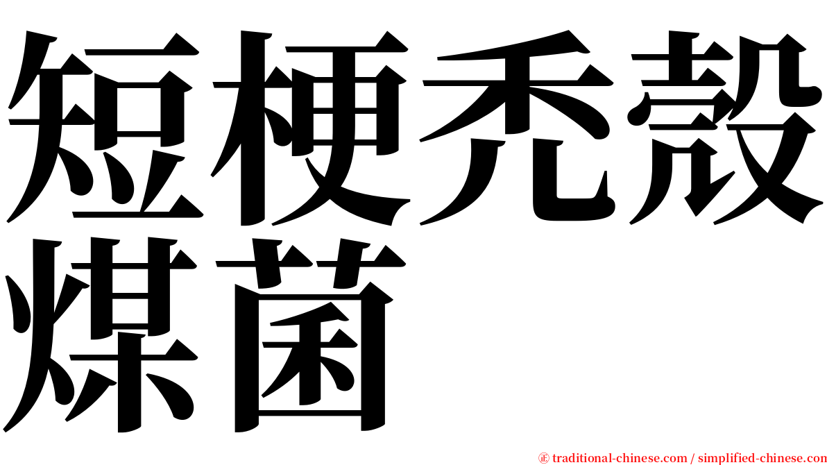 短梗禿殼煤菌 serif font