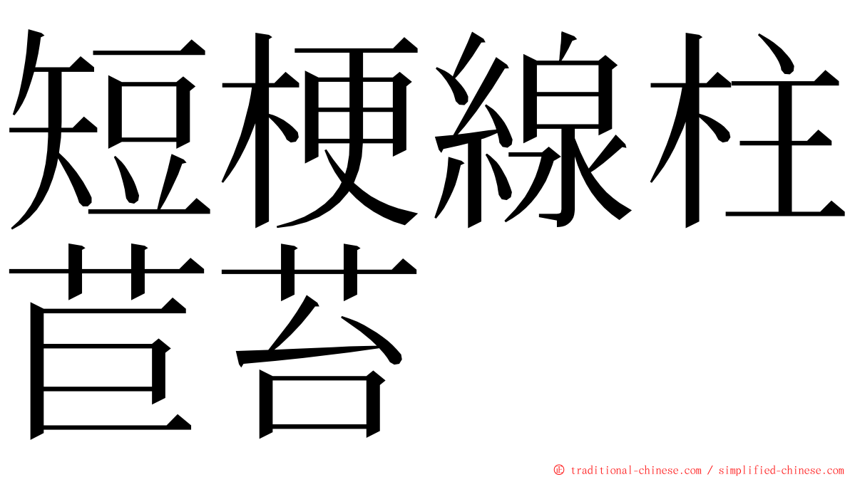 短梗線柱苣苔 ming font