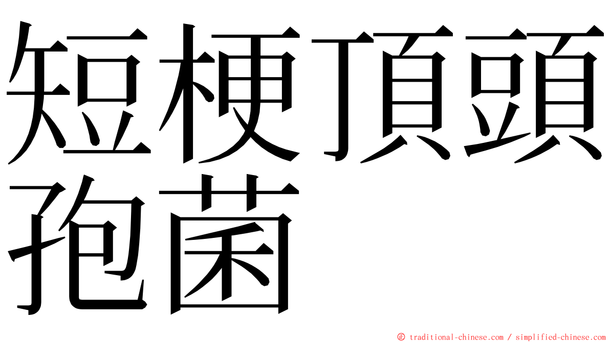短梗頂頭孢菌 ming font