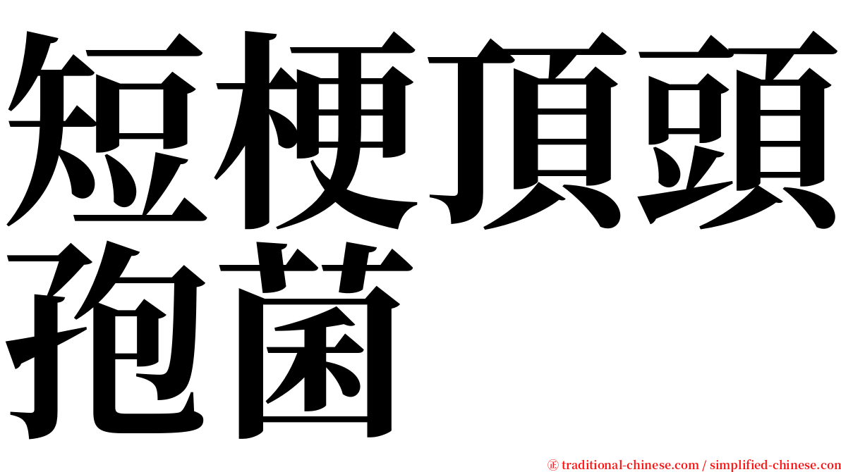 短梗頂頭孢菌 serif font