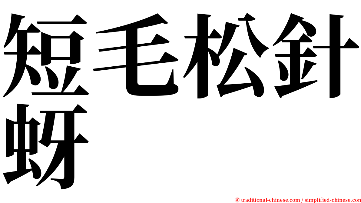 短毛松針蚜 serif font