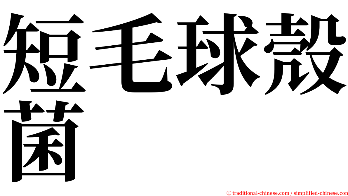 短毛球殼菌 serif font