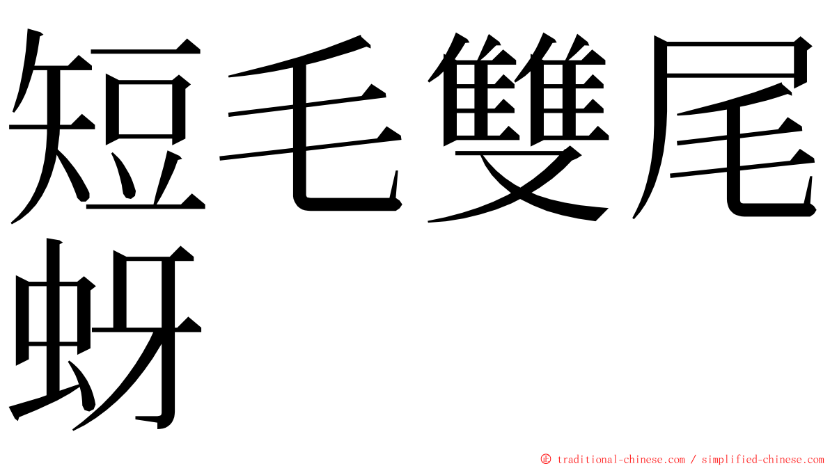 短毛雙尾蚜 ming font