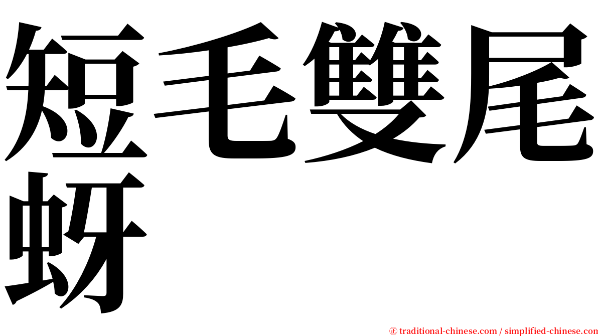 短毛雙尾蚜 serif font