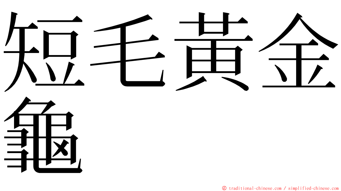 短毛黃金龜 ming font