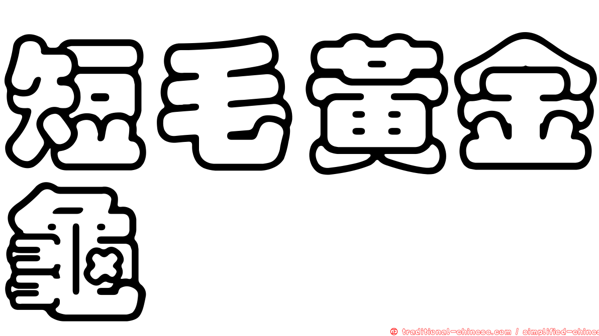 短毛黃金龜