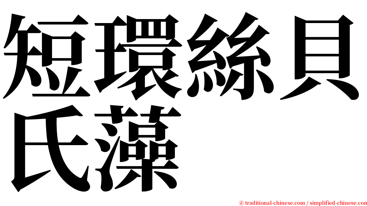 短環絲貝氏藻 serif font