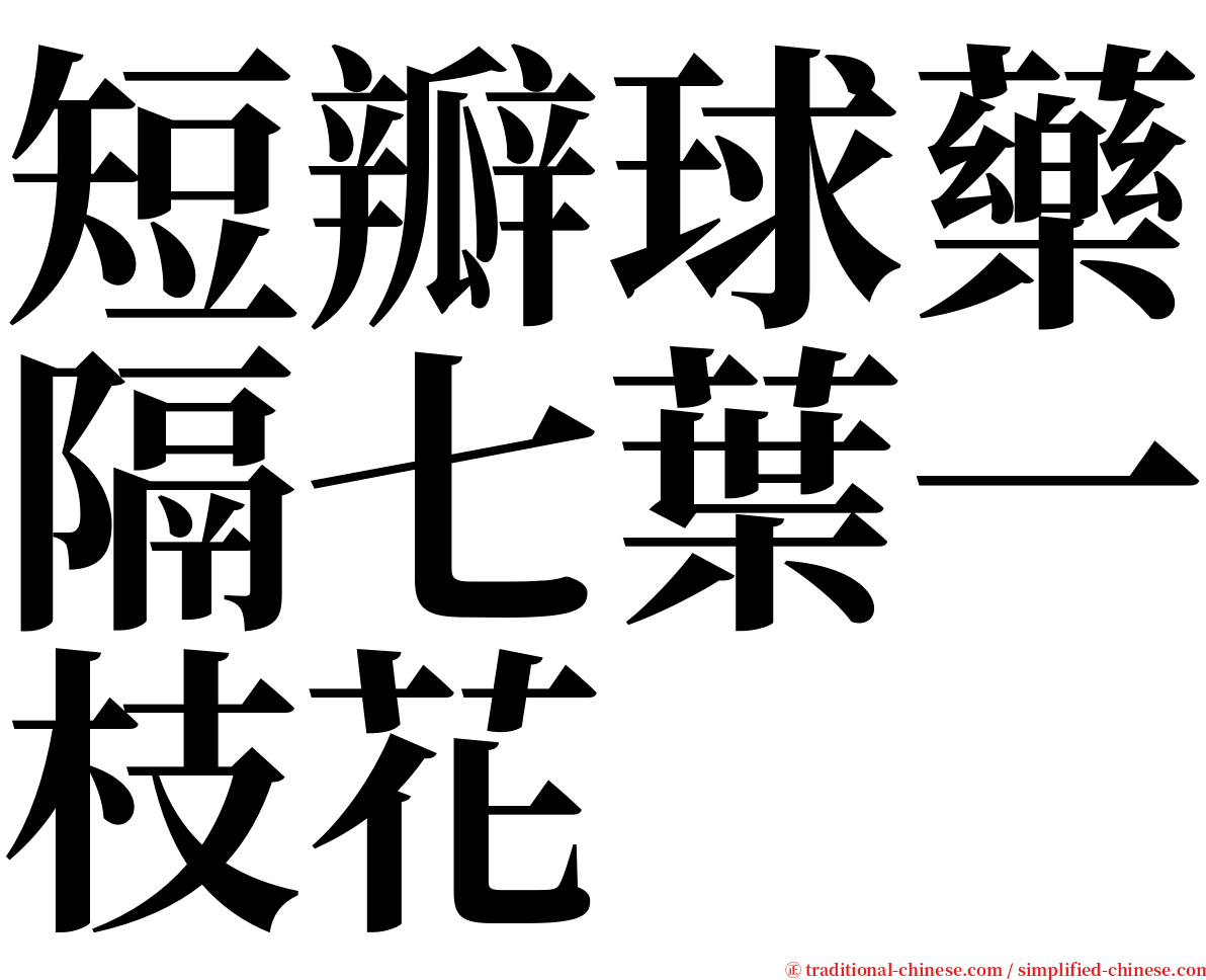 短瓣球藥隔七葉一枝花 serif font