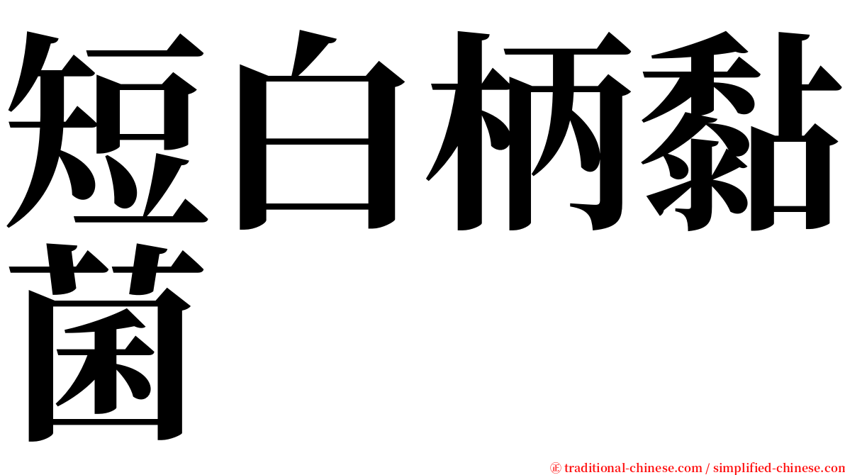 短白柄黏菌 serif font