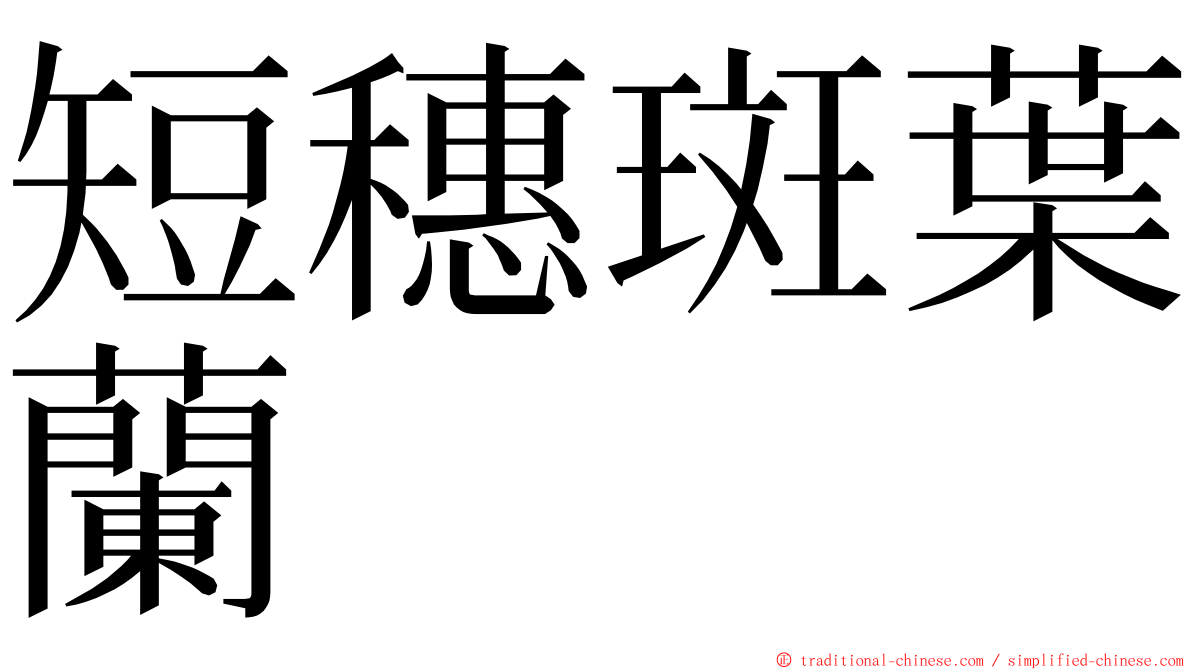 短穗斑葉蘭 ming font