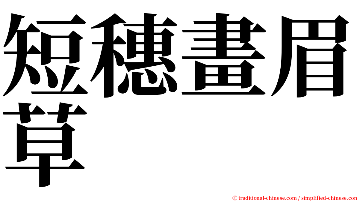 短穗畫眉草 serif font